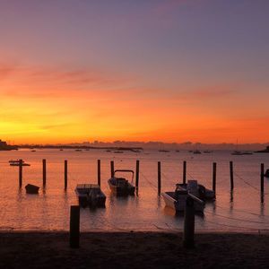 Meet your Posher, Ralph